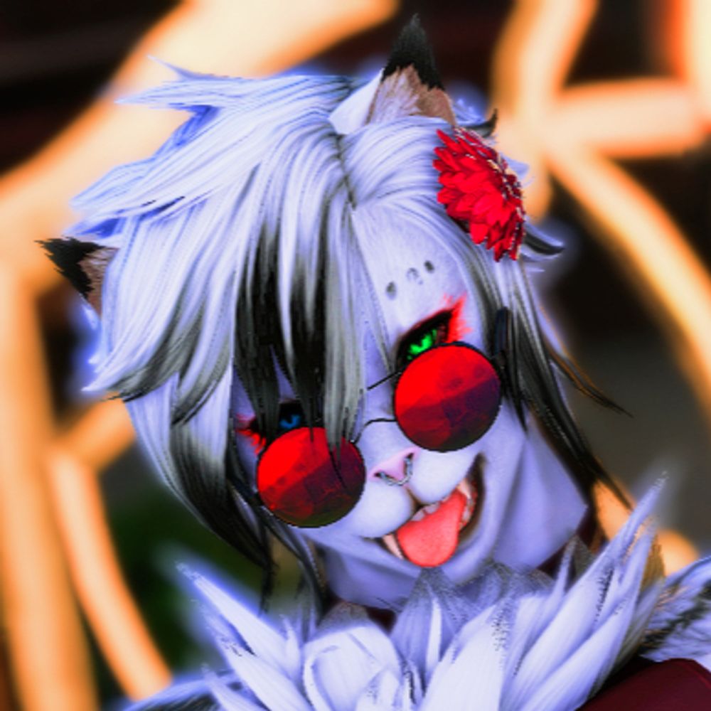 V Amora