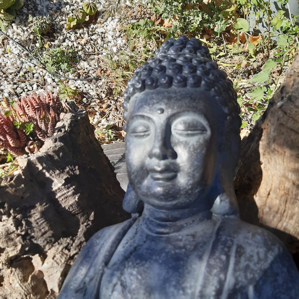 Dr Alex - Meditation Teacher - Western and Eastern Psychology