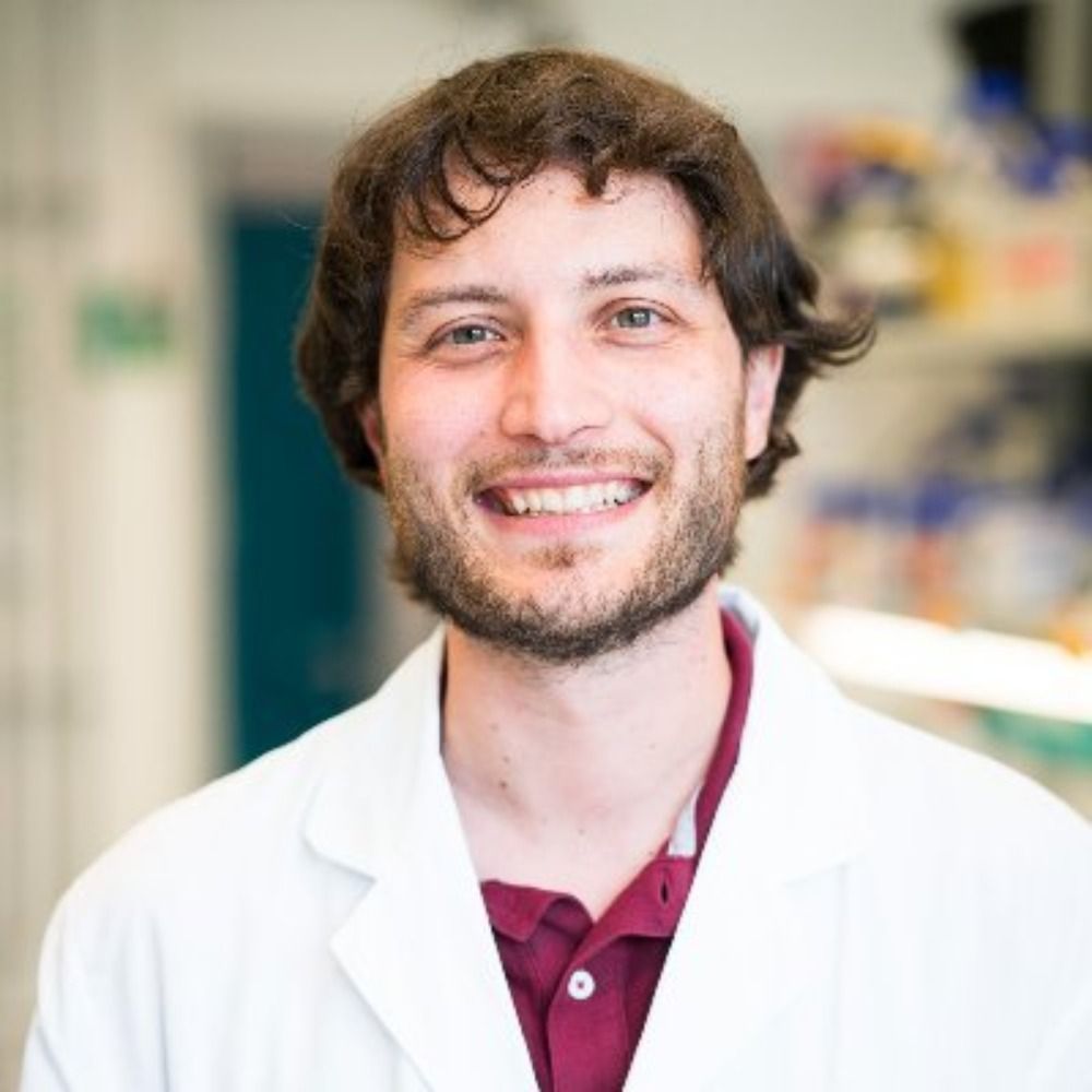 Allegretti Lab