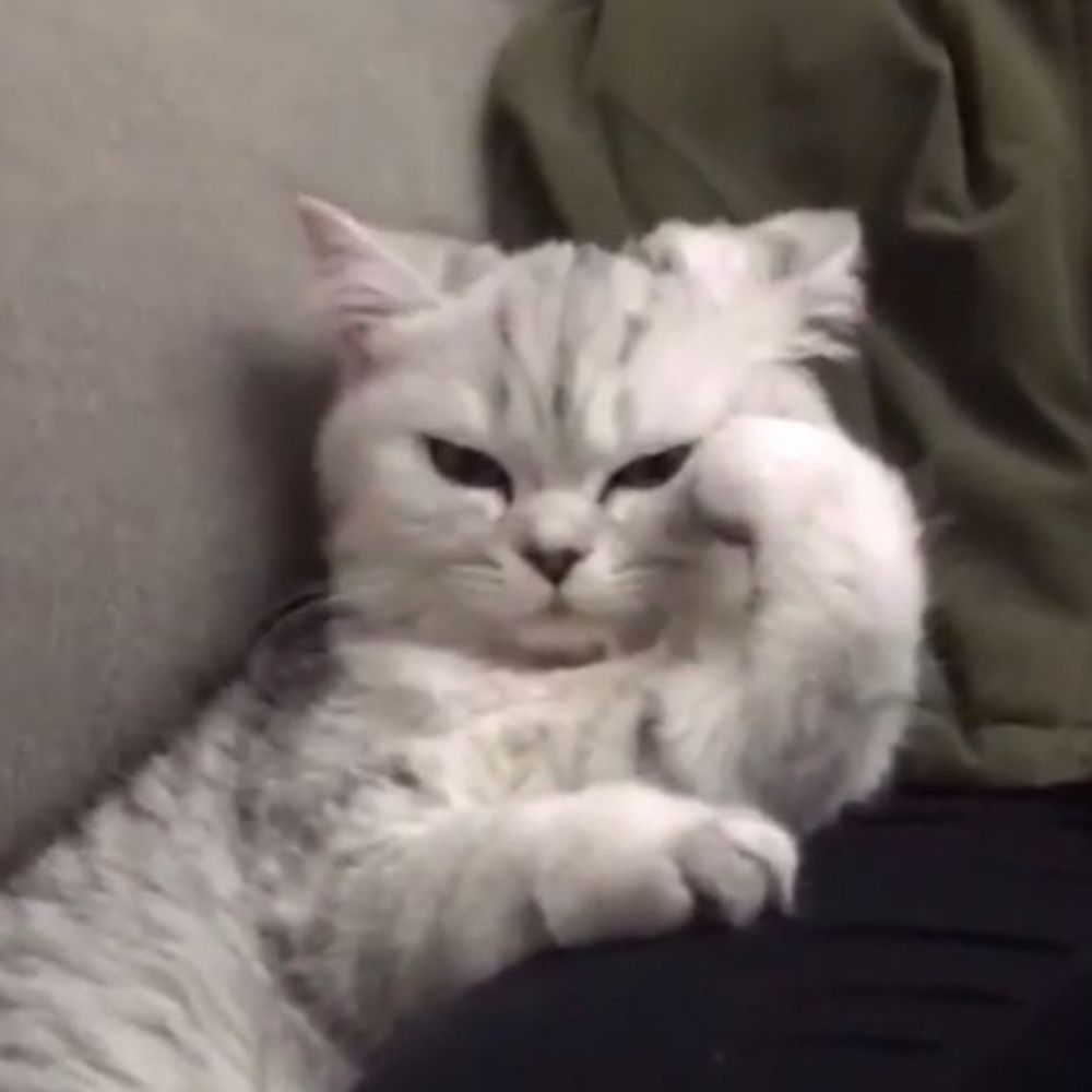 Nay 
