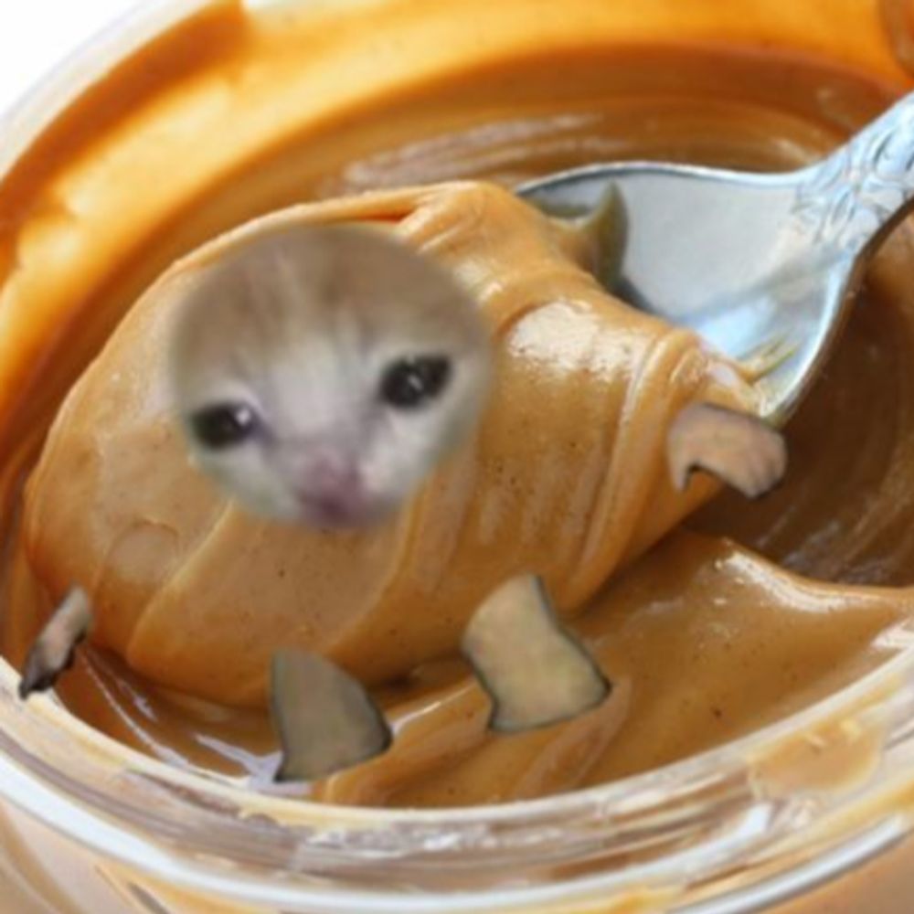 쁍끼