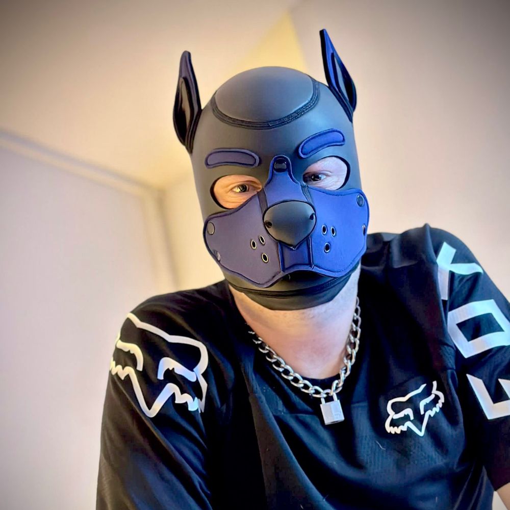 Pup Corey 