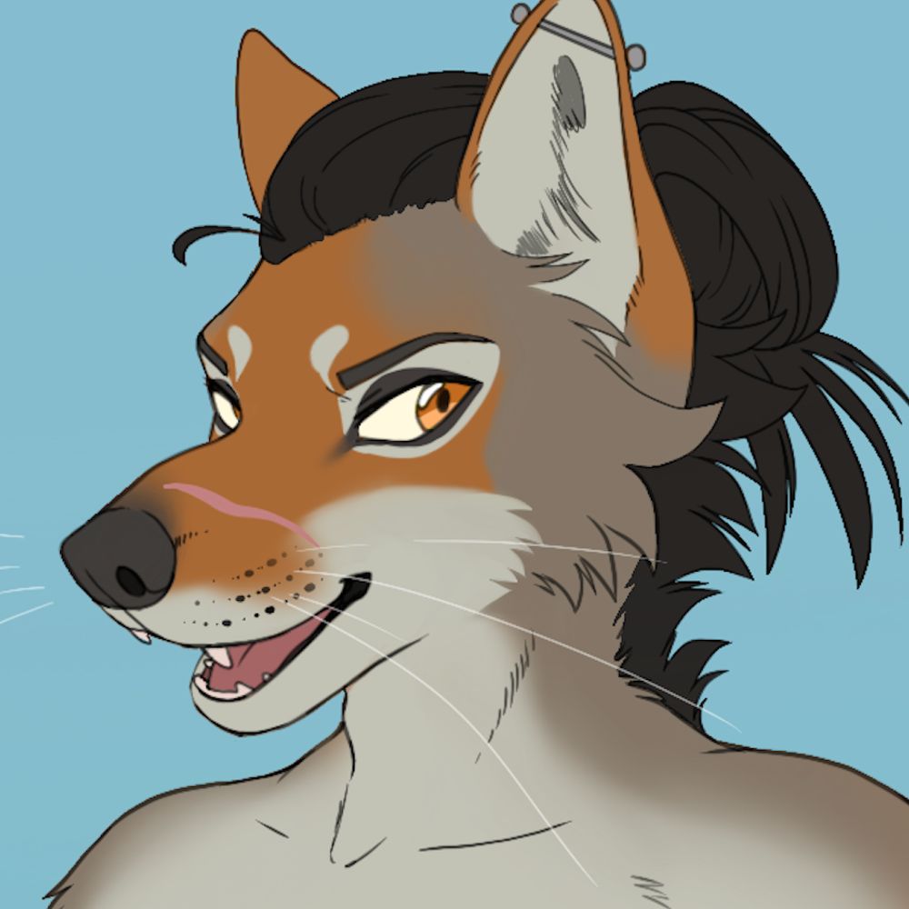 Kofi the Coyote