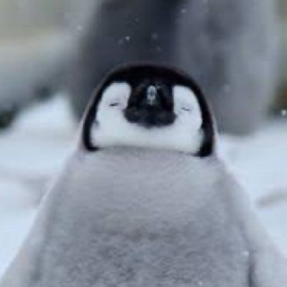 ペンギ医ン