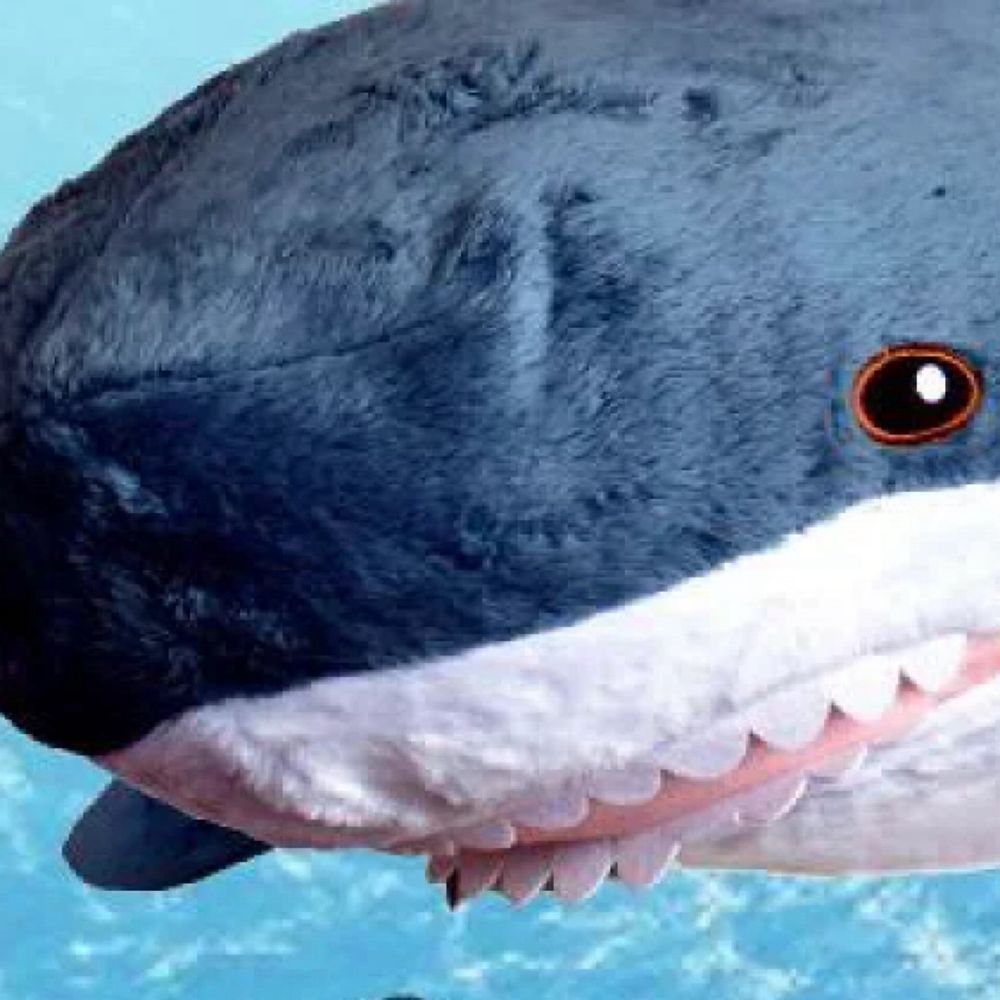 もちさめ🦈