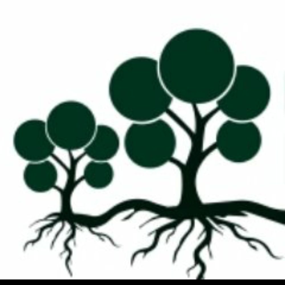 Judy Simon 🌳🌱