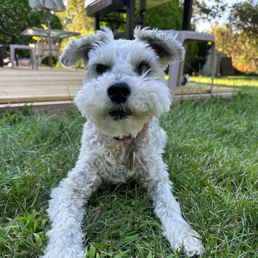 Max 🥥