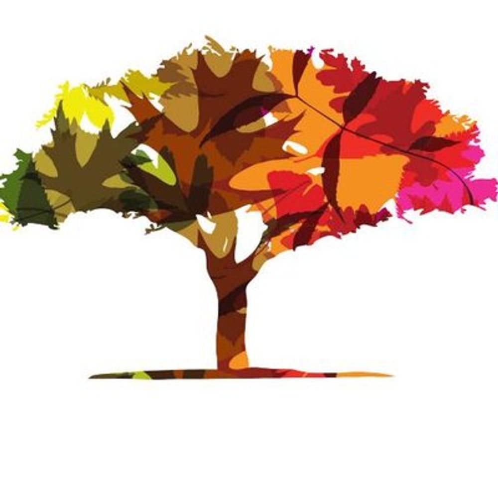 Mirror of Ann Arbor Area Community Foundation's X Account