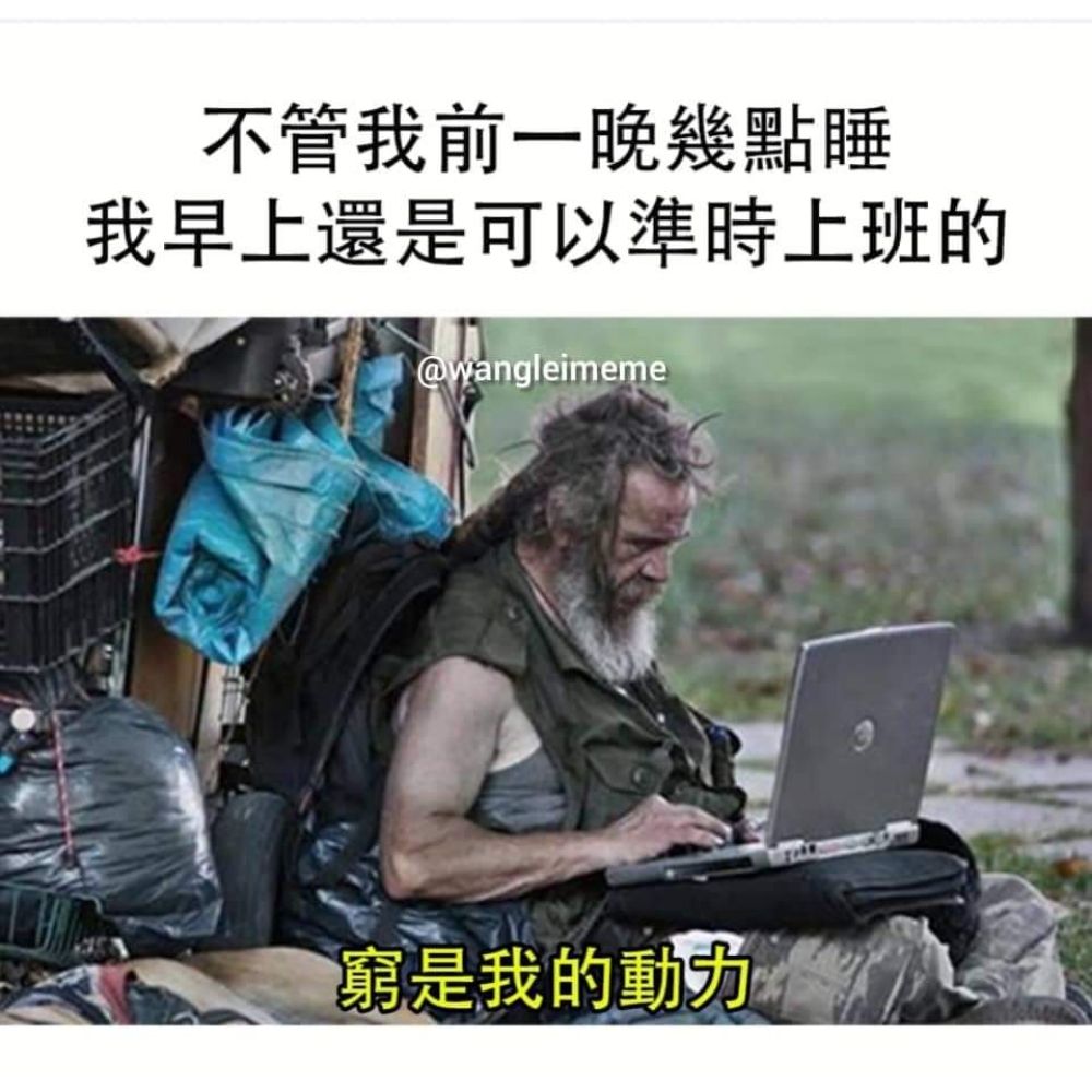 跟著進來看熱鬧的