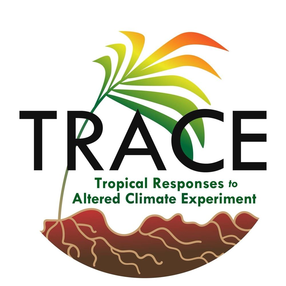 TRACE