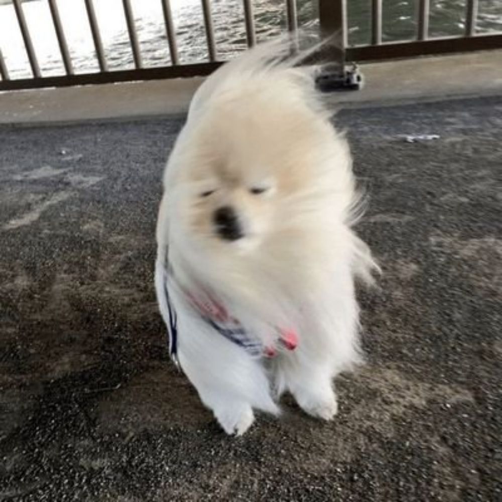 이수~?🔒
