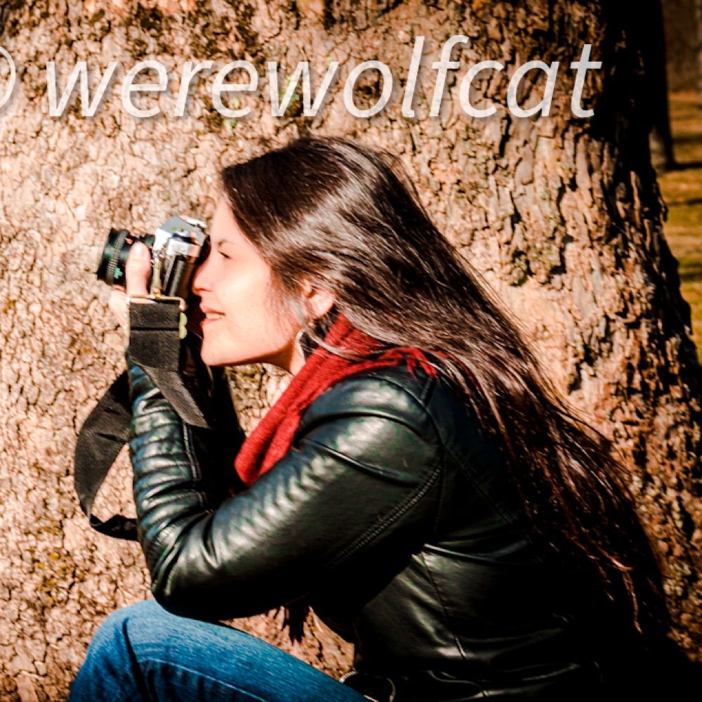🌕🐺Werewolfcat👩🏻‍🌾☀️