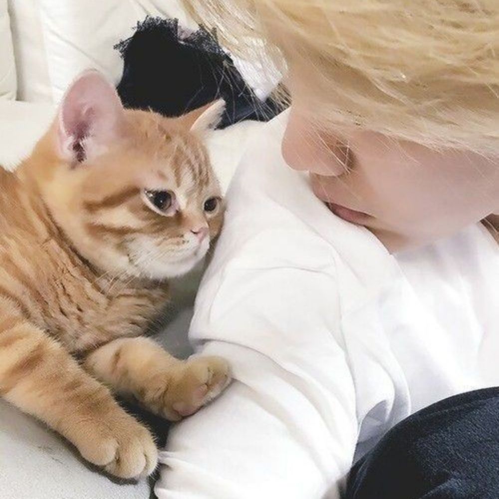 jimimo