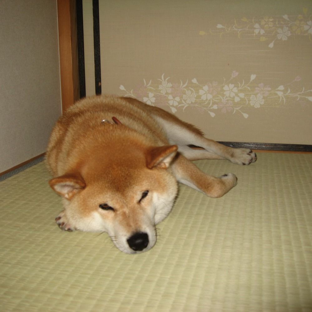 まろりん