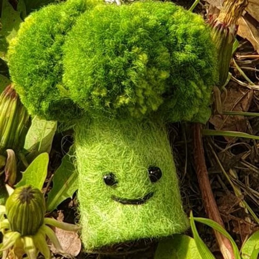 초록브로콜리🥦