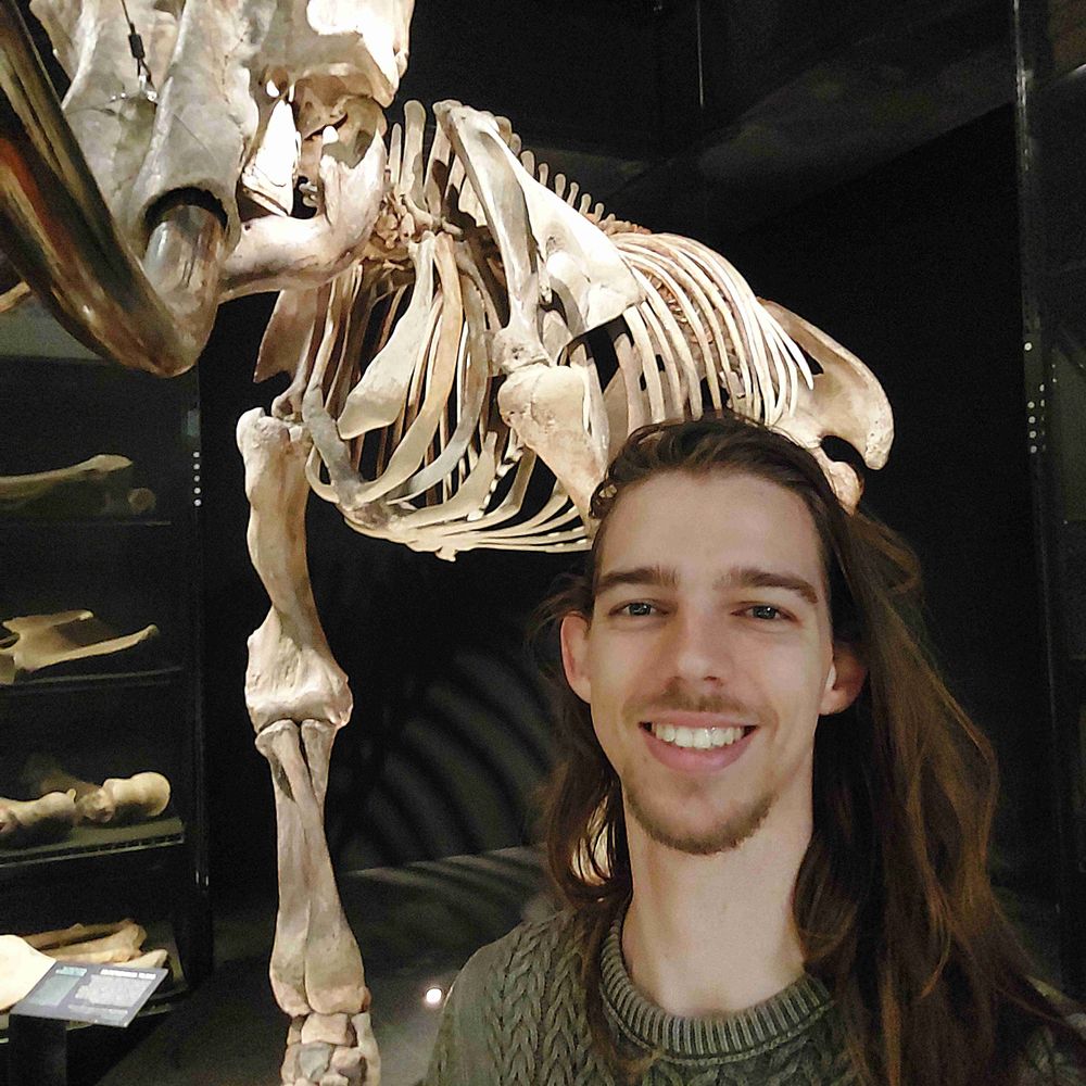 Jochem Noordzij