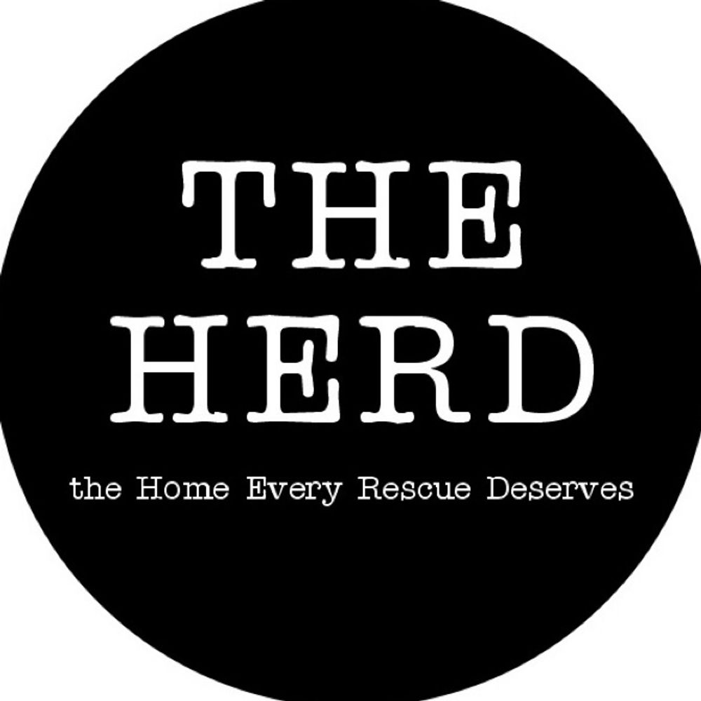 The Herd's avatar