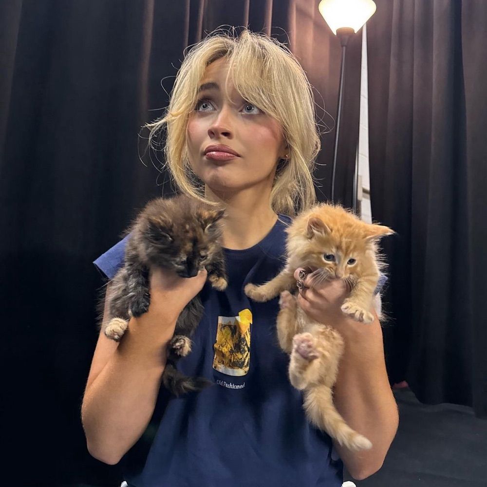 dani