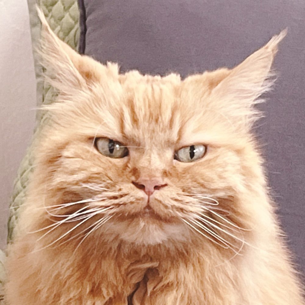 ハド