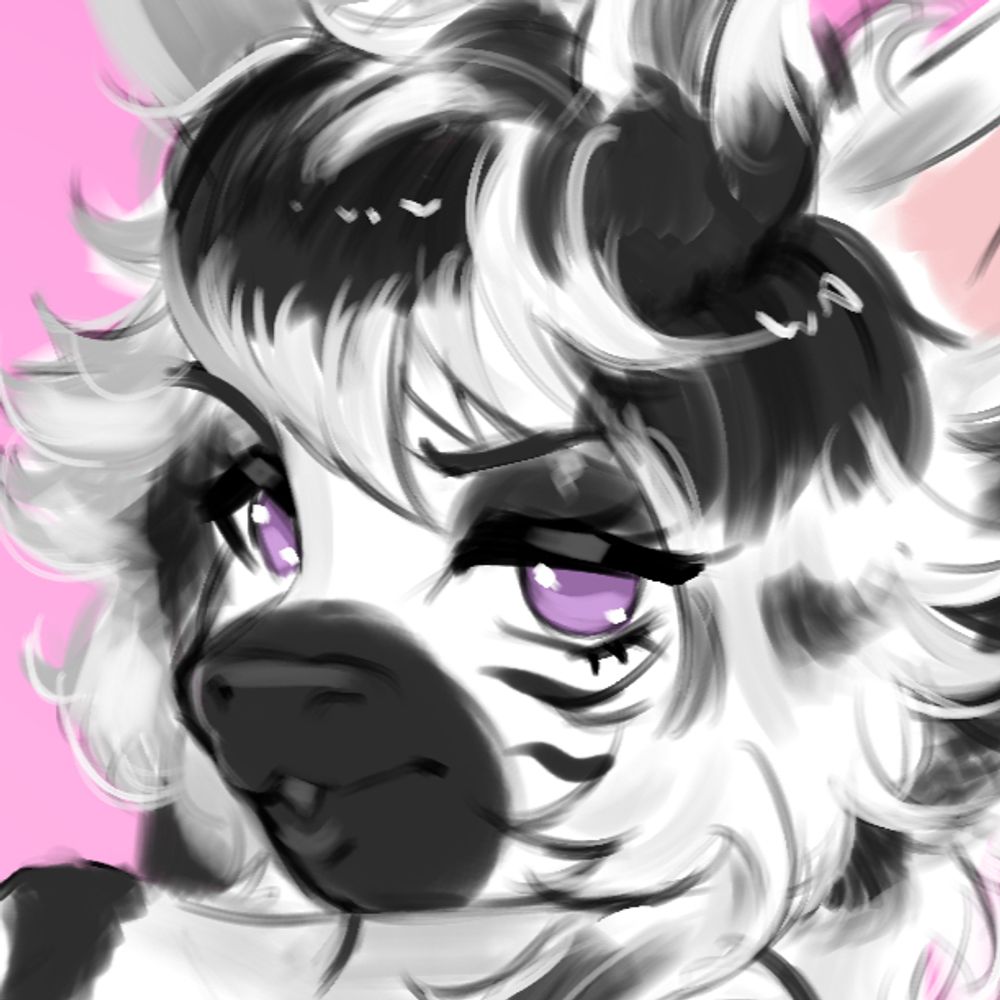 Xela the Zebra! 🏳️‍⚧️🦓