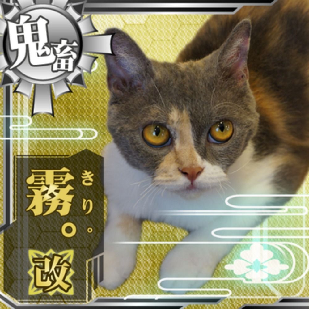 霧。