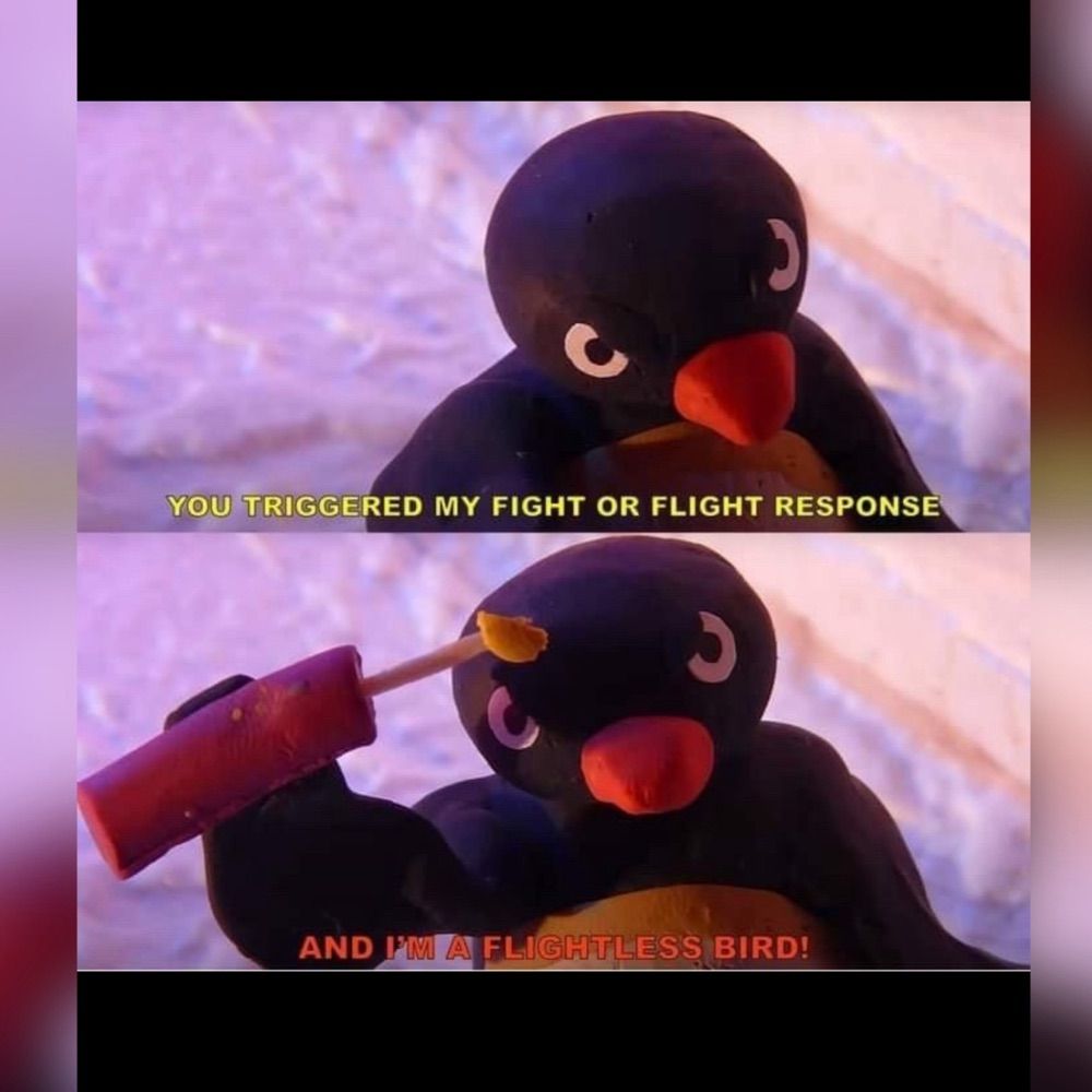 Dodo