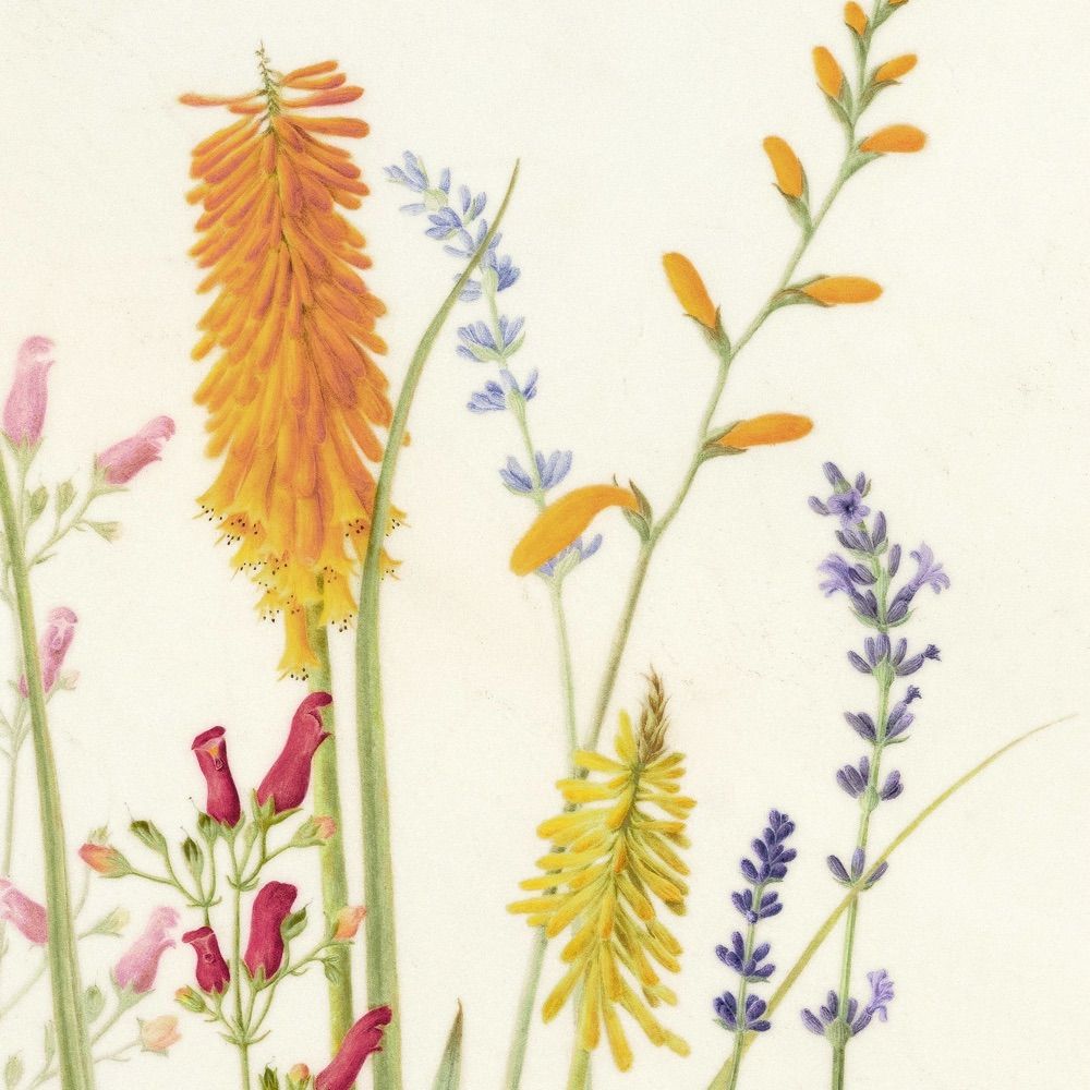 Mary Crabtree