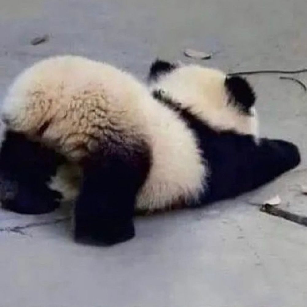 どーなつのど
