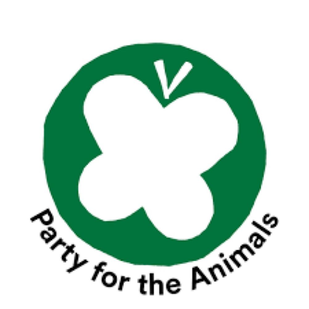 Animal Politics Foundation
