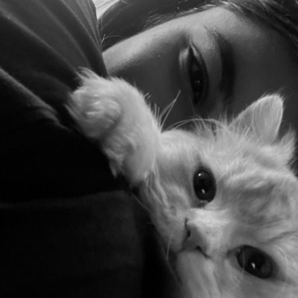 Aynur 