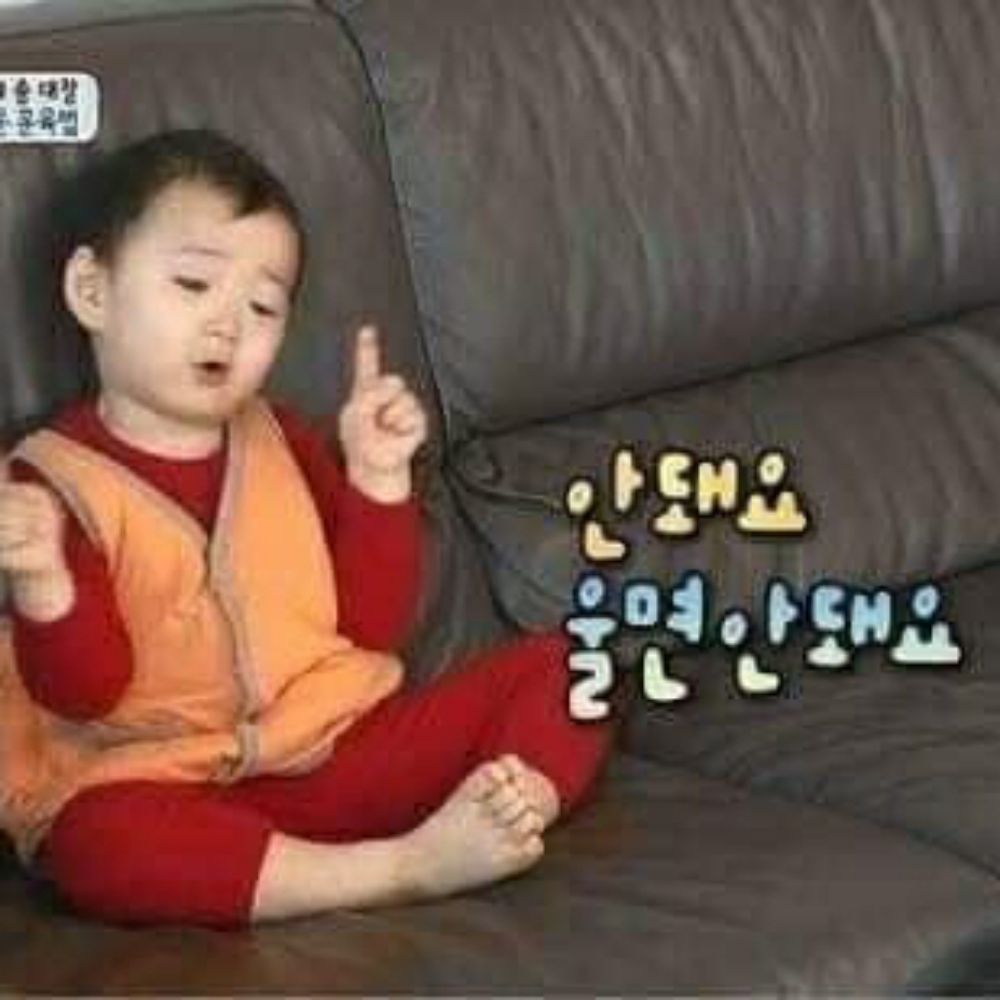 도리