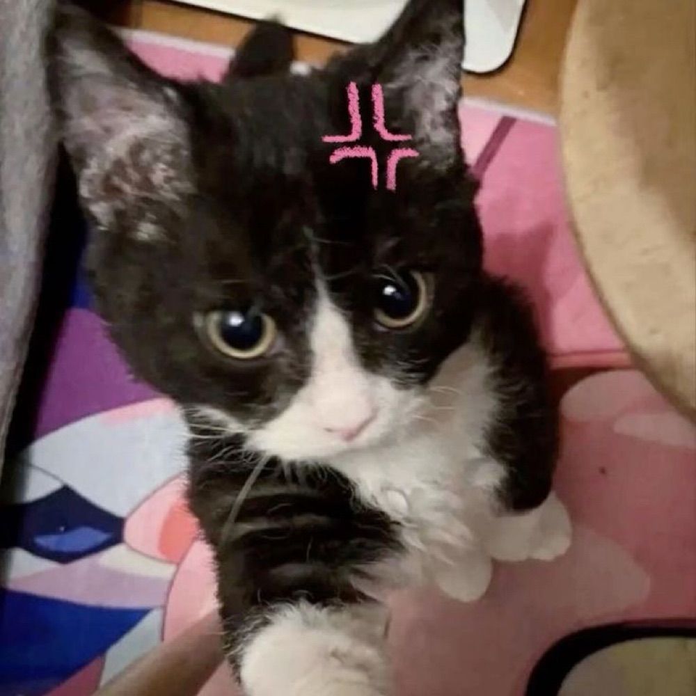 Isa