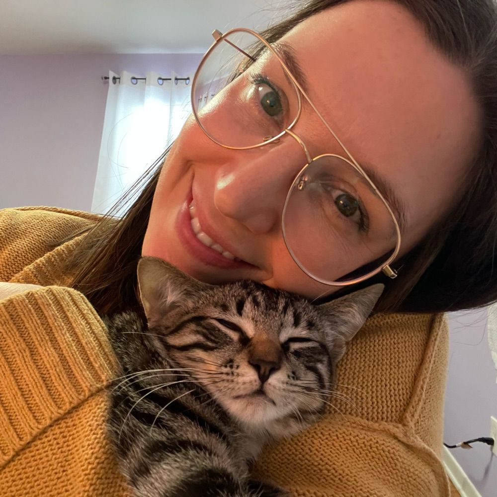 Allie Kat