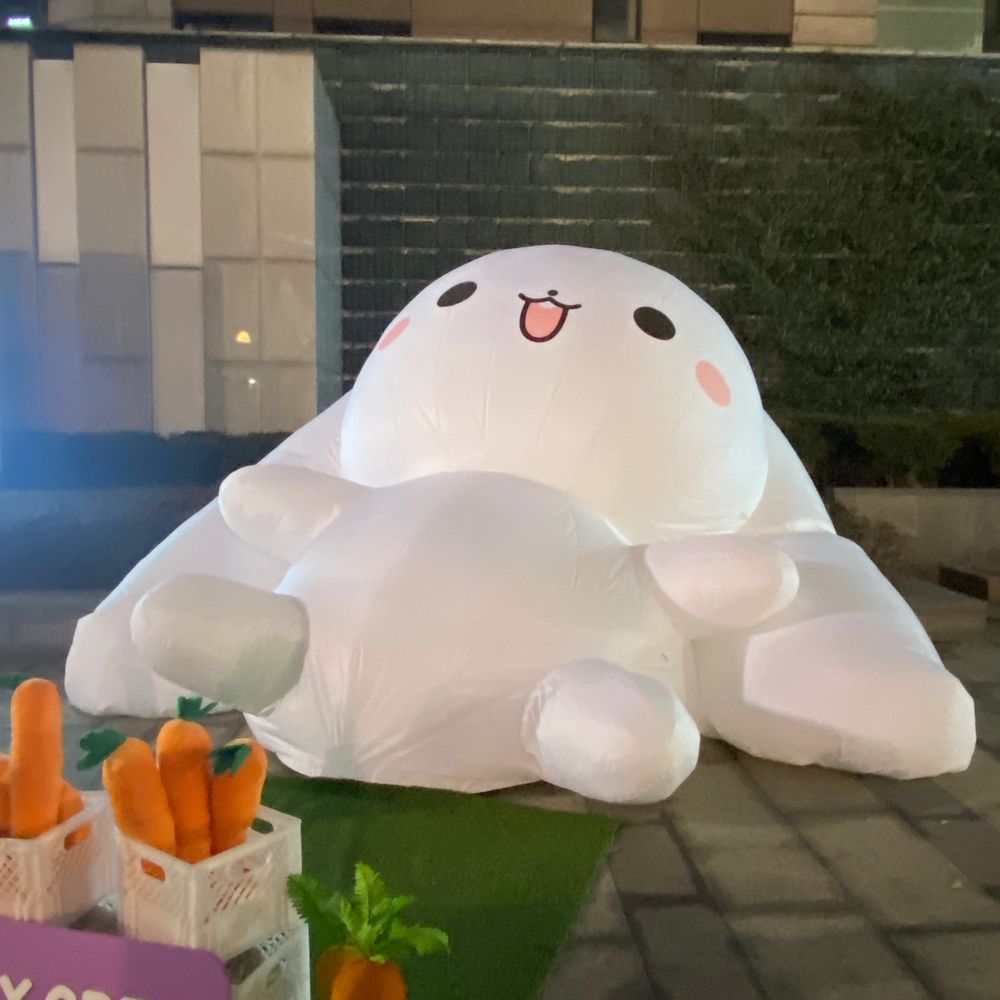 강체크