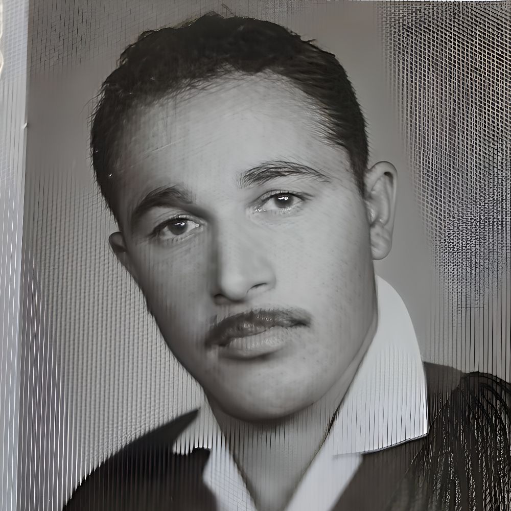 مجید 🥷