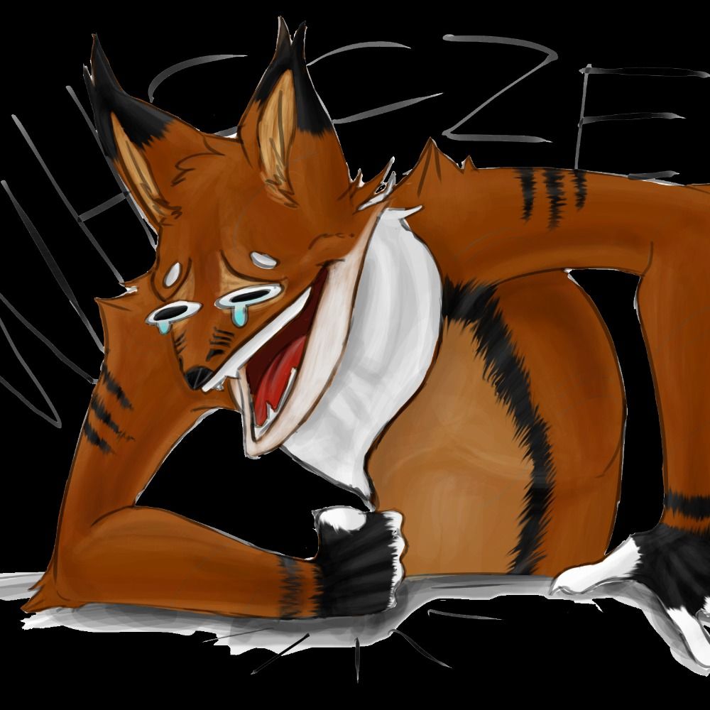 Koiffi