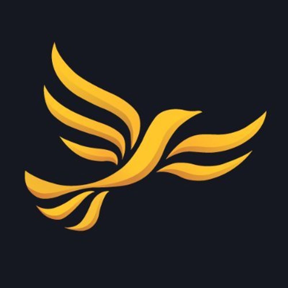 Reigate & Banstead Liberal Democrats