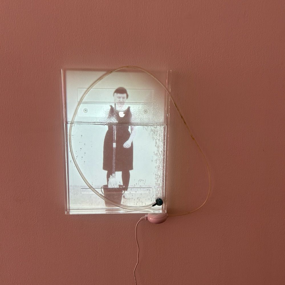 Carolyn Craig