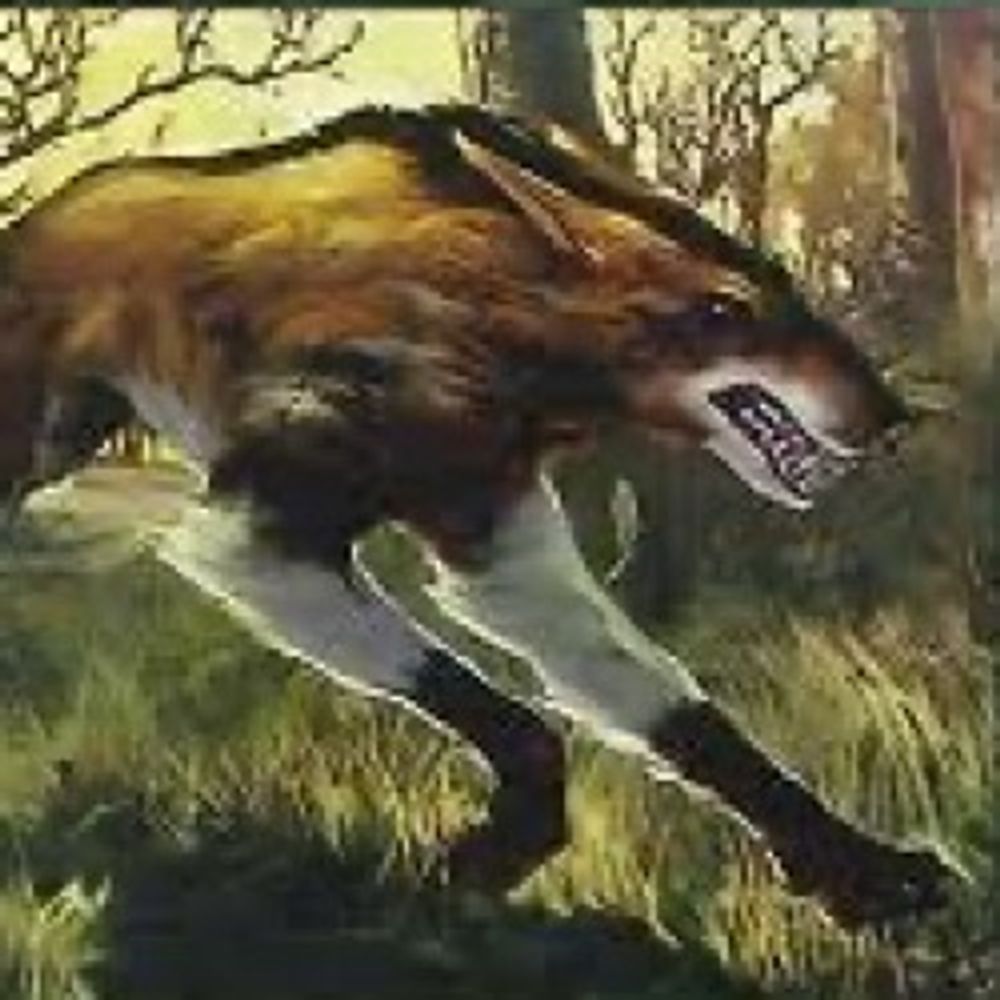 mtg犬