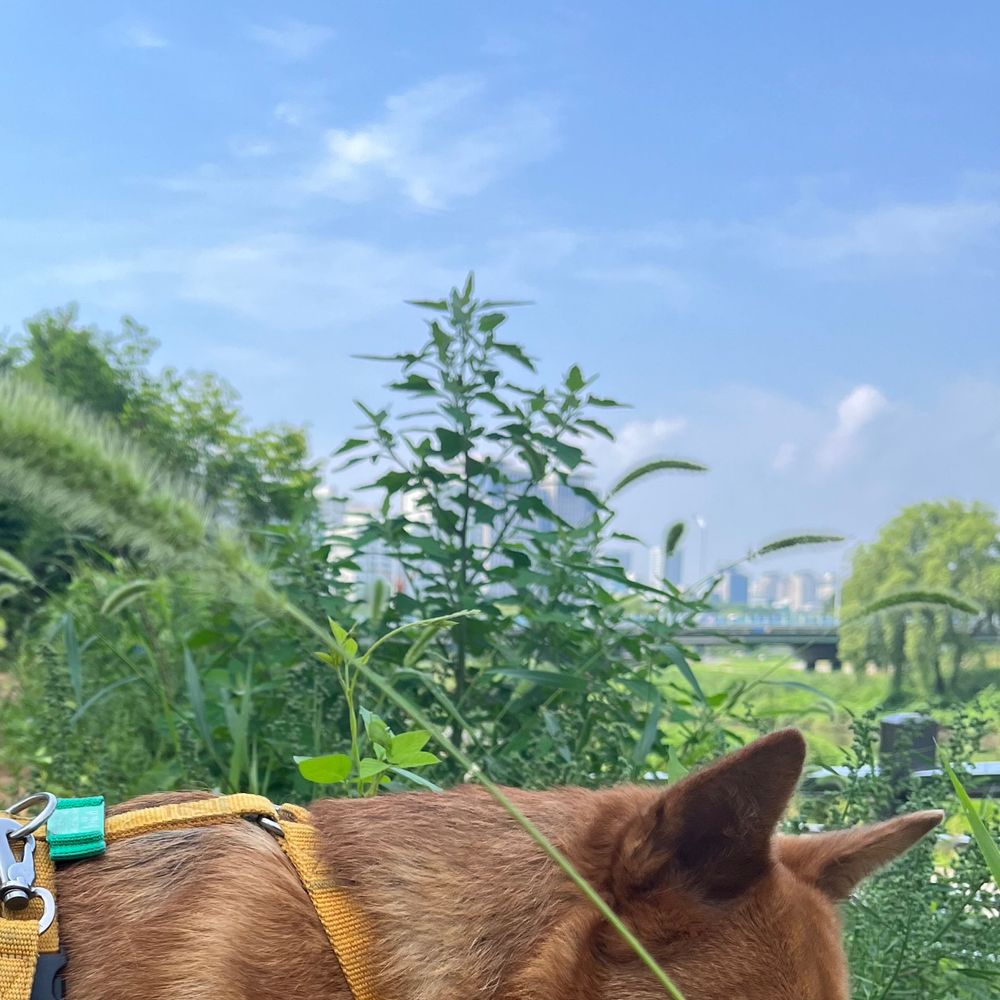 리차드파커씨