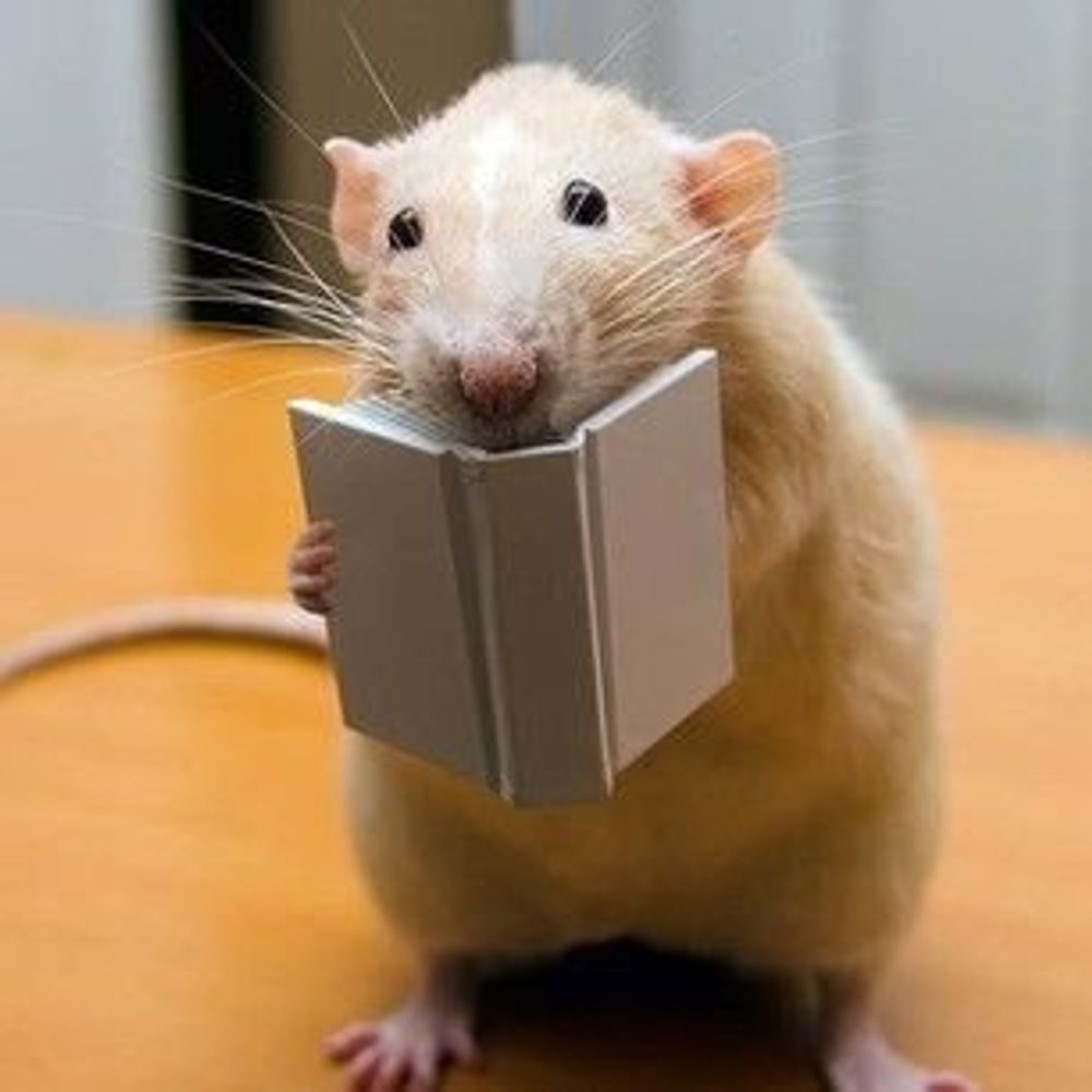 Shutterboxrat