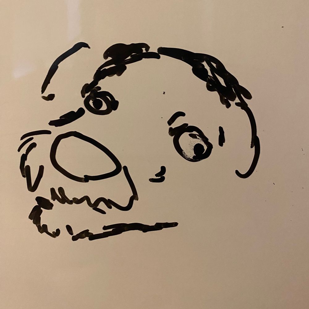 Womp Womp Rat