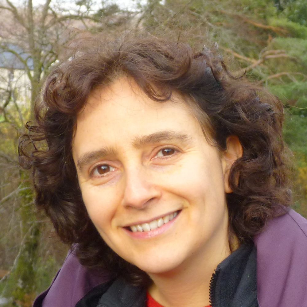 Rebekah L. Tauritz