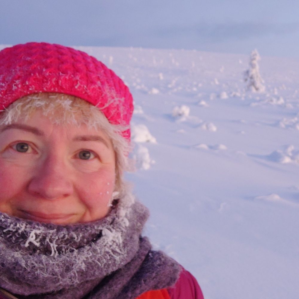 Päivi Pietikäinen 