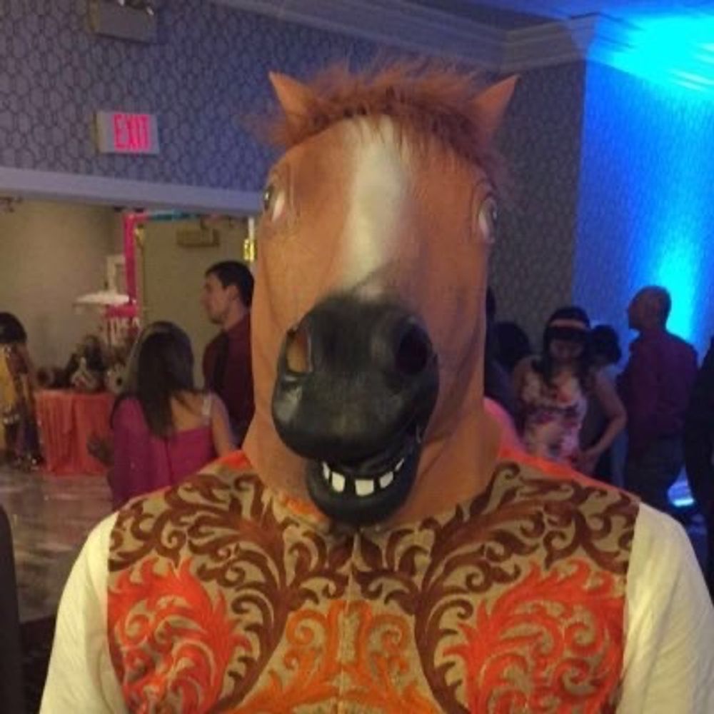 THE Punk-Ass Book Jockey