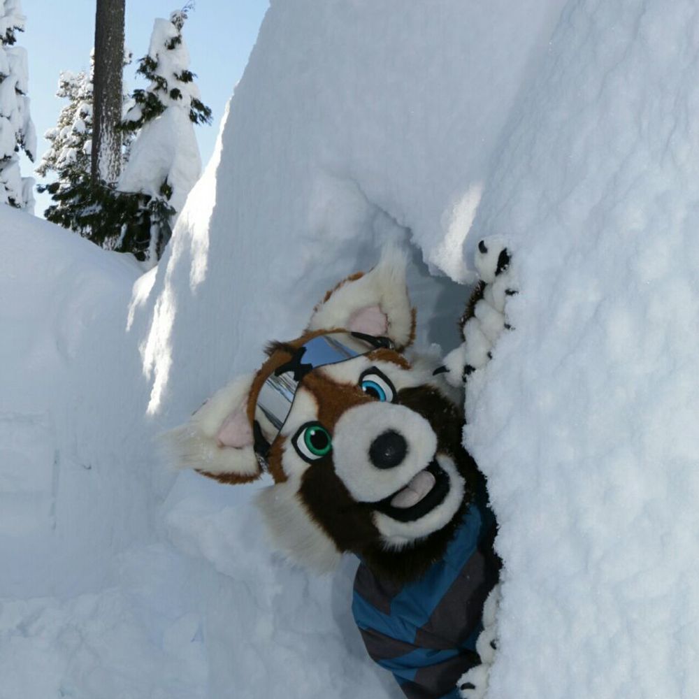 Bomber Panda