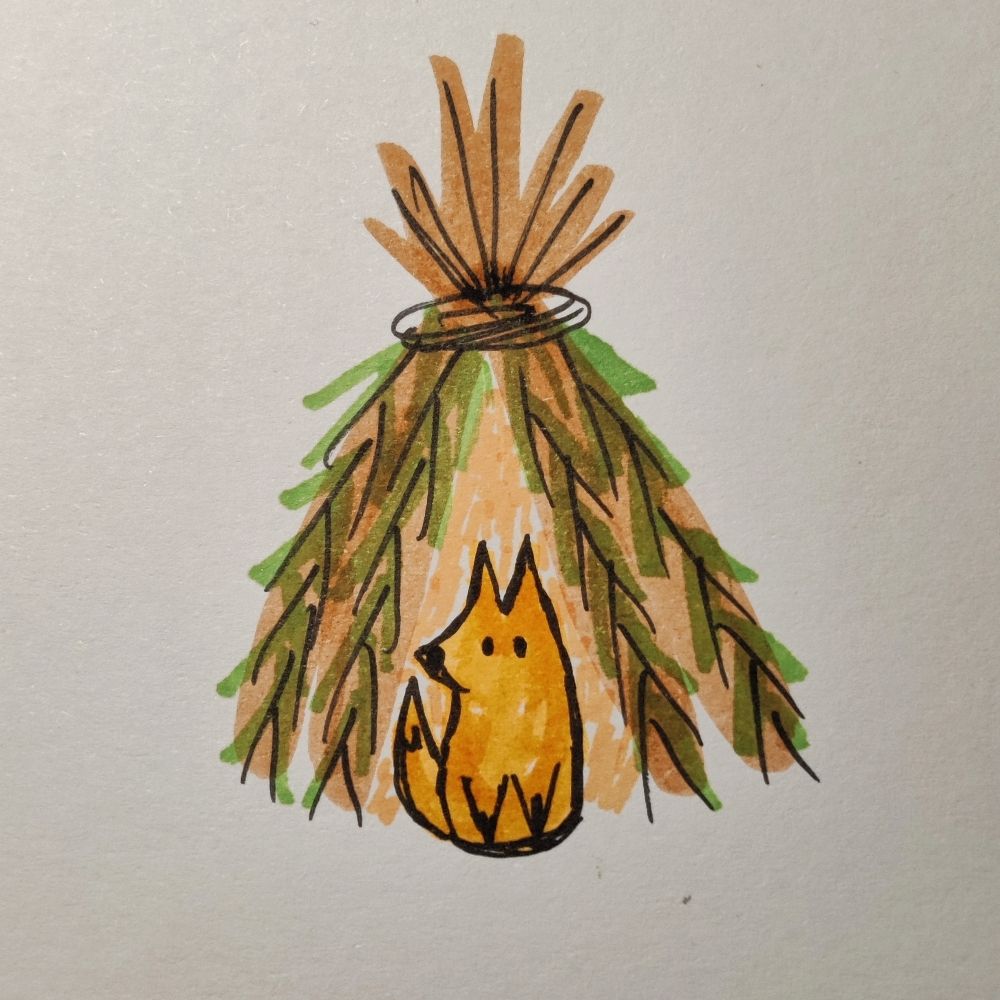 Клён 