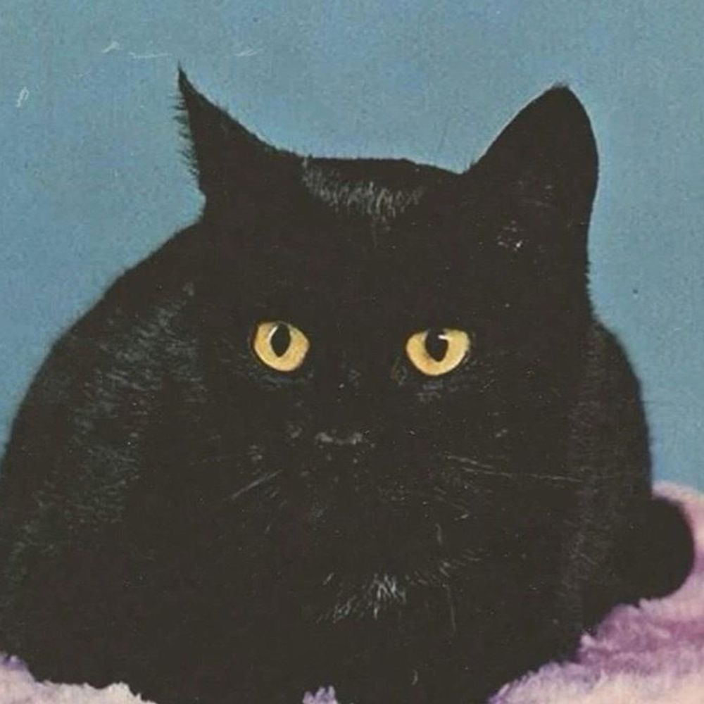 Justacat