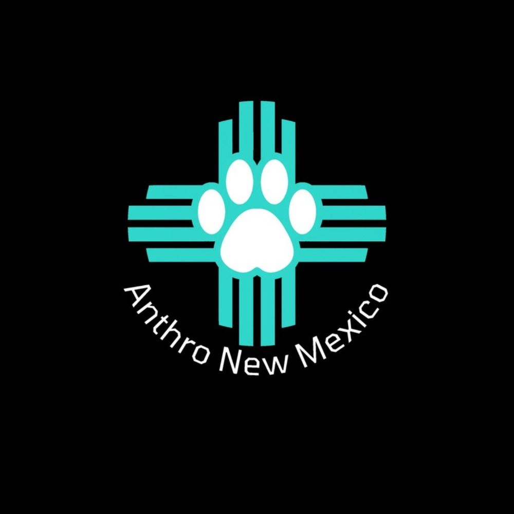 Anthro New  Mexico 