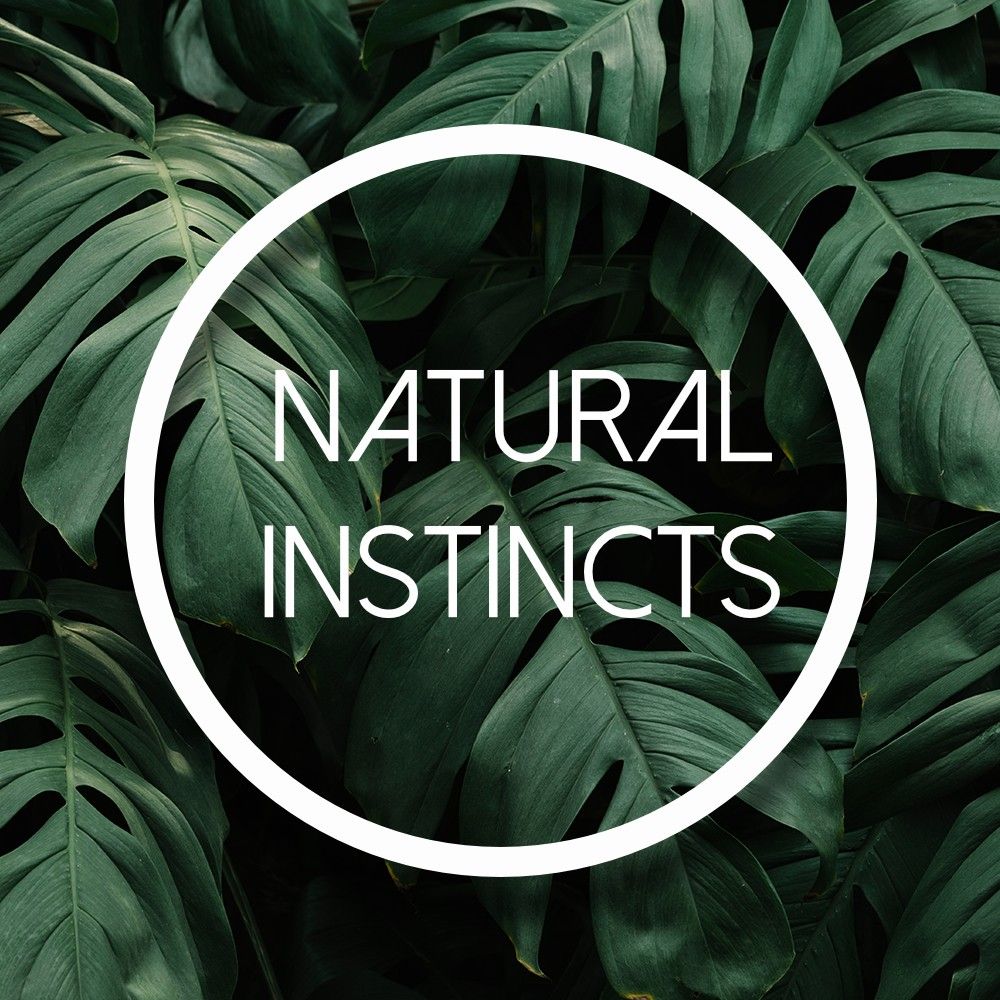 natural_instincts_festival